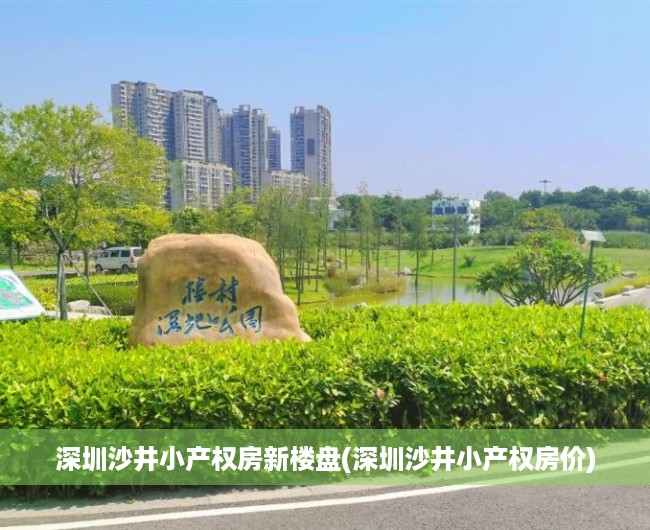 深圳沙井小产权房新楼盘(深圳沙井小产权房价)