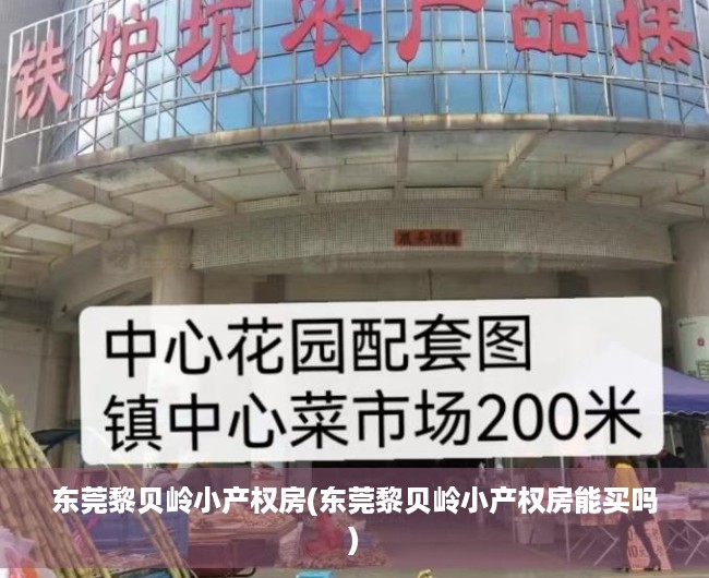 东莞黎贝岭小产权房(东莞黎贝岭小产权房能买吗) 东莞黎贝岭小产权房(东莞黎贝岭小产权房能买吗)