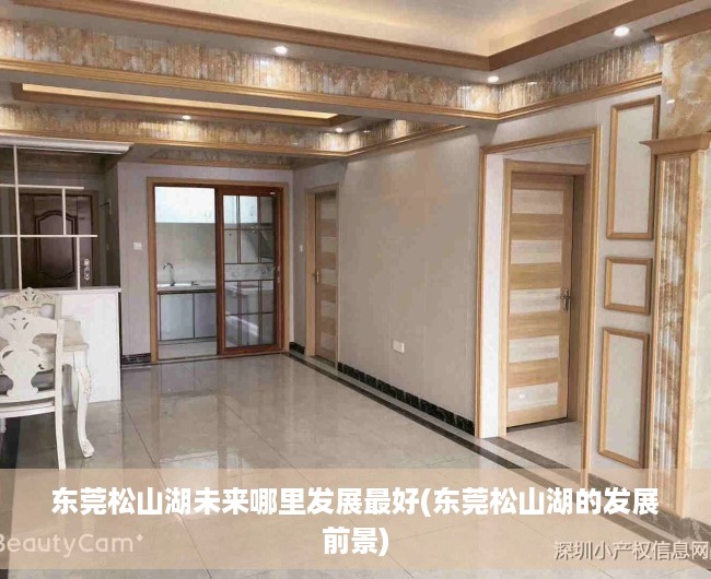 东莞松山湖未来哪里发展最好(东莞松山湖的发展前景)