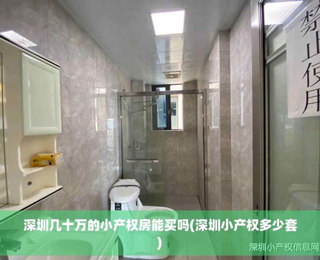 深圳几十万的小产权房能买吗(深圳小产权多少套) 深圳几十万的小产权房能买吗(深圳小产权多少套)