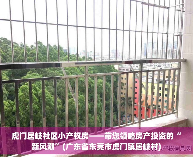 虎门居岐社区小产权房——带您领略房产投资的“新风潮”(广东省东莞市虎门镇居岐村)