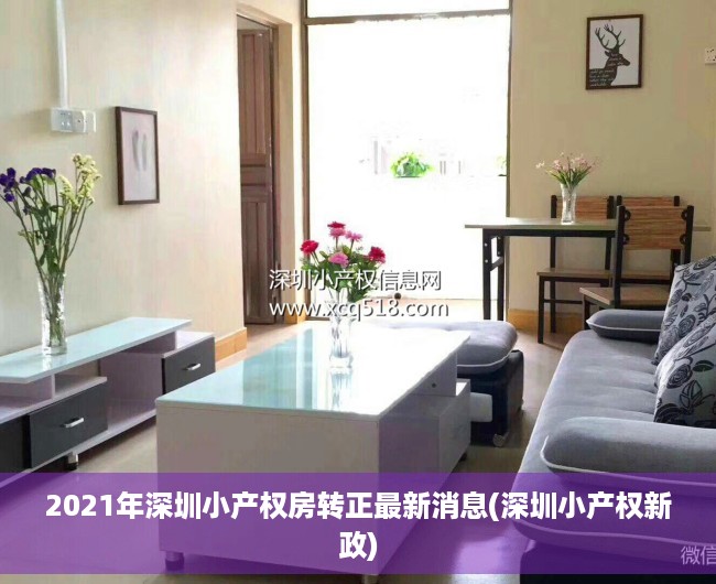 2021年深圳小产权房转正最新消息(深圳小产权新政)