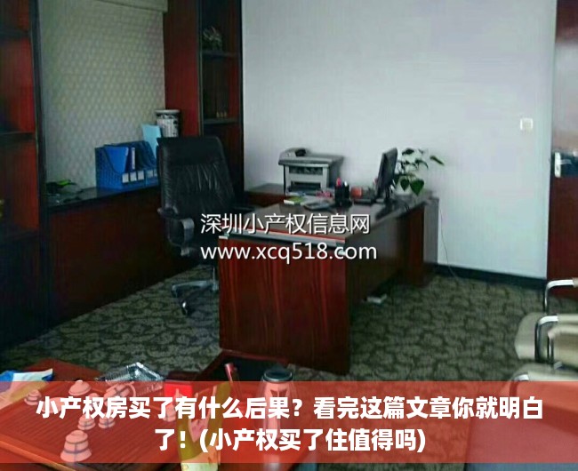 小产权房买了有什么后果？看完这篇文章你就明白了！(小产权买了住值得吗)
