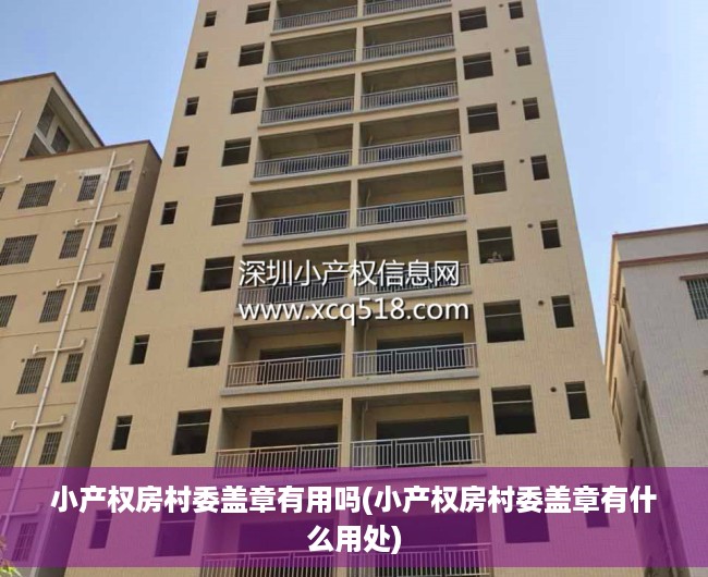 小产权房村委盖章有用吗(小产权房村委盖章有什么用处)