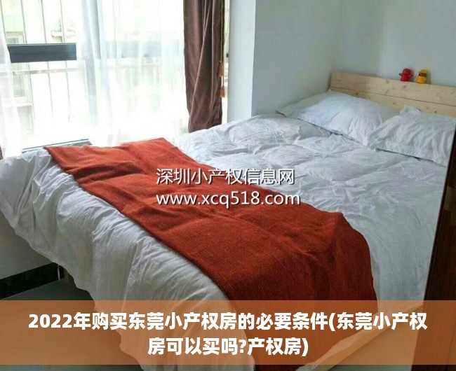 2022年购买东莞小产权房的必要条件(东莞小产权房可以买吗?产权房)