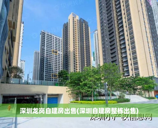 深圳龙岗自建房出售(深圳自建房整栋出售)
