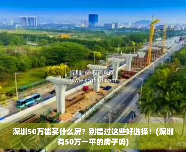 深圳50万能买什么房？别错过这些好选择！(深圳有50万一平的房子吗)