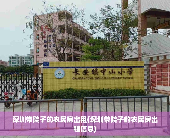 深圳带院子的农民房出租(深圳带院子的农民房出租信息)