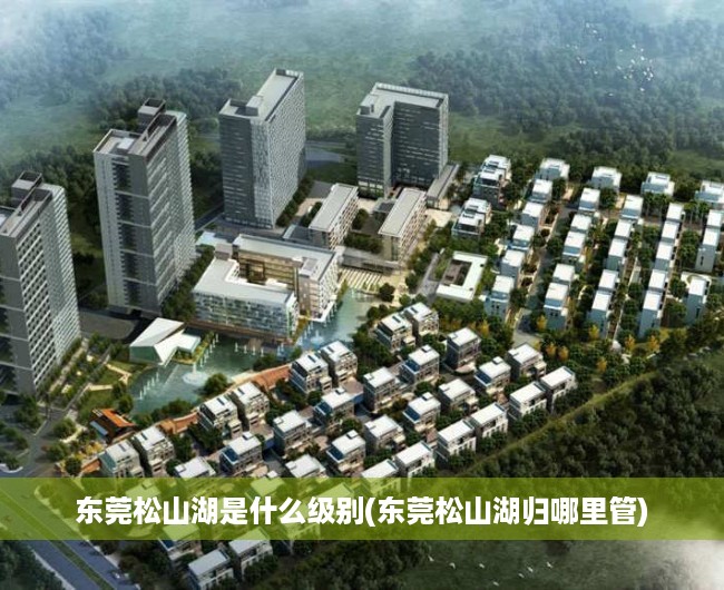 东莞松山湖是什么级别(东莞松山湖归哪里管)