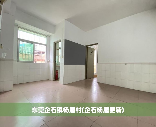 东莞企石镇杨屋村(企石杨屋更新) 东莞企石镇杨屋村(企石杨屋更新)