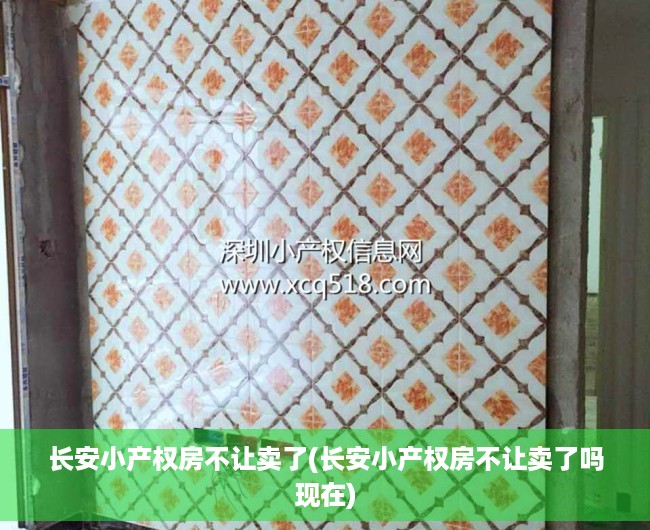 长安小产权房不让卖了(长安小产权房不让卖了吗现在) 长安小产权房不让卖了(长安小产权房不让卖了吗现在)
