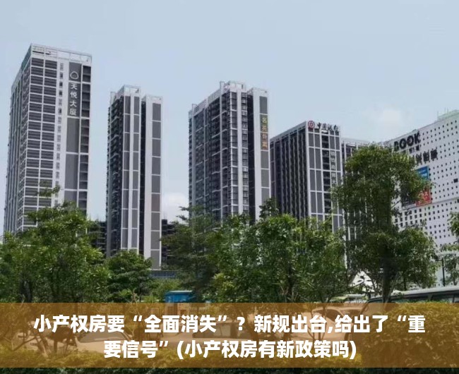小产权房要“全面消失”？新规出台,给出了“重要信号”(小产权房有新政策吗)