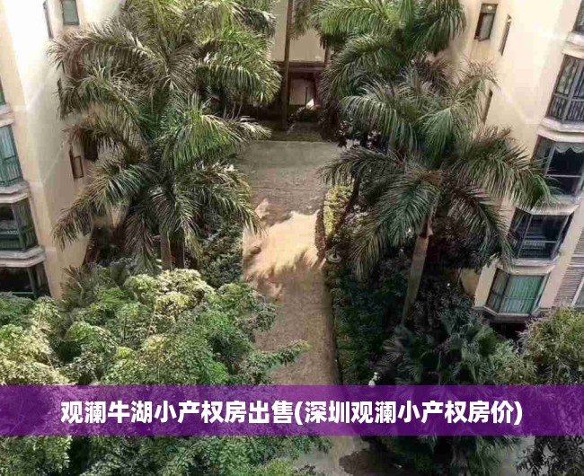 观澜牛湖小产权房出售(深圳观澜小产权房价)