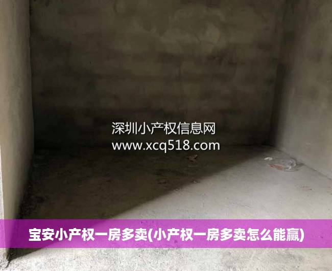 宝安小产权一房多卖(小产权一房多卖怎么能赢) 宝安小产权一房多卖(小产权一房多卖怎么能赢)