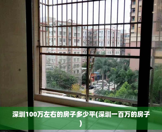 深圳100万左右的房子多少平(深圳一百万的房子)