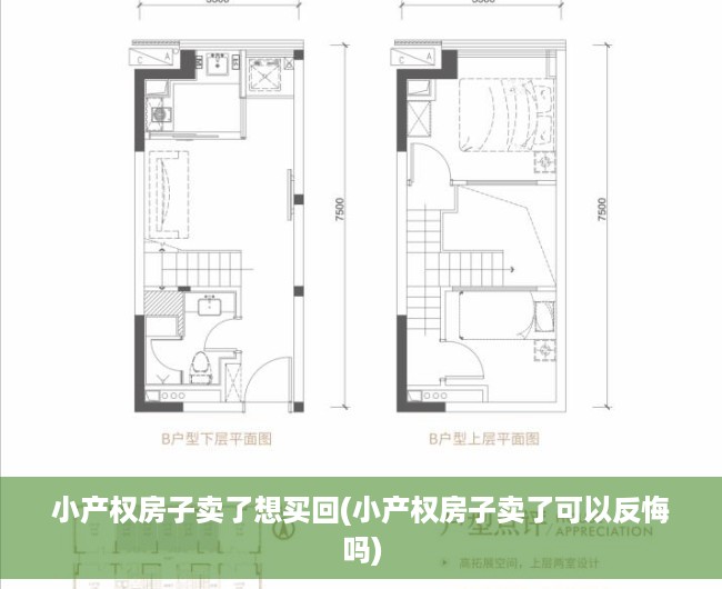 小产权房子卖了想买回(小产权房子卖了可以反悔吗) 小产权房子卖了想买回(小产权房子卖了可以反悔吗)