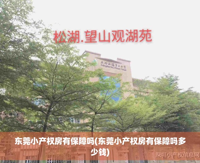 东莞小产权房有保障吗(东莞小产权房有保障吗多少钱) 东莞小产权房有保障吗(东莞小产权房有保障吗多少钱)