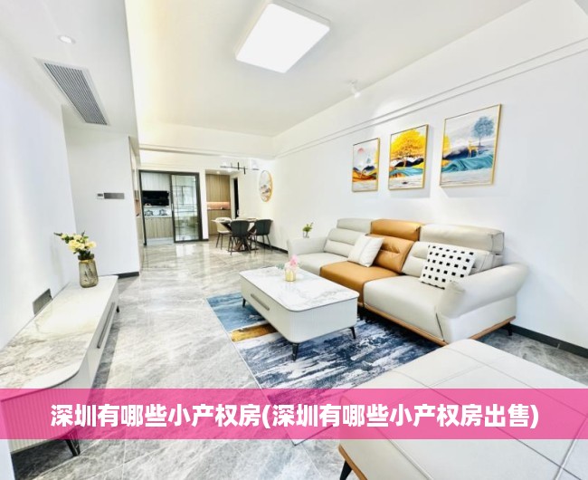 深圳有哪些小产权房(深圳有哪些小产权房出售)