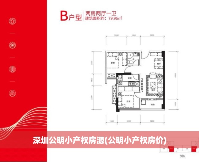 深圳公明小产权房源(公明小产权房价)