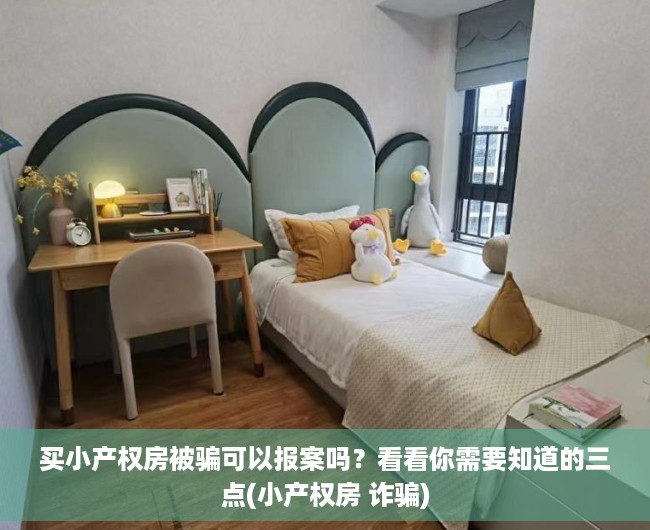 买小产权房被骗可以报案吗？看看你需要知道的三点(小产权房 诈骗)