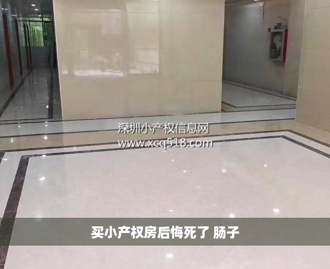 买小产权房后悔死了 肠子 买小产权房后悔死了 肠子