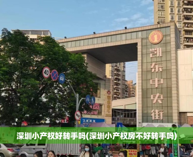 深圳小产权好转手吗(深圳小产权房不好转手吗)