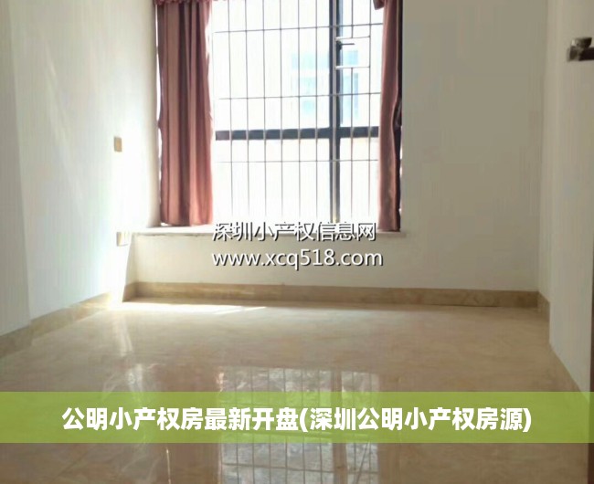 公明小产权房最新开盘(深圳公明小产权房源) 公明小产权房最新开盘(深圳公明小产权房源)