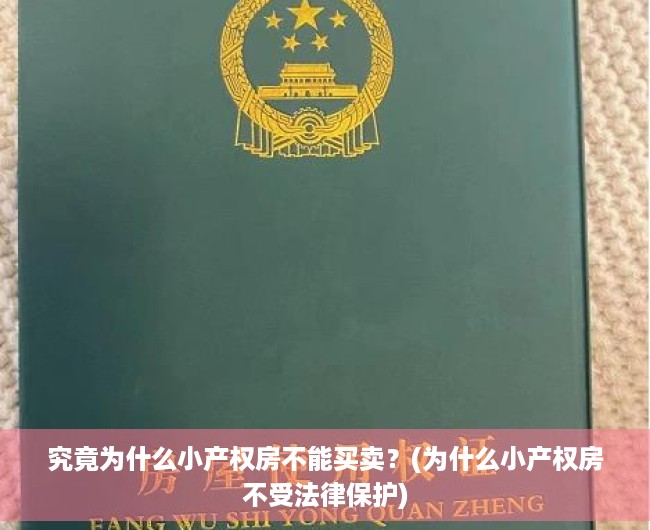 究竟为什么小产权房不能买卖？(为什么小产权房不受法律保护)