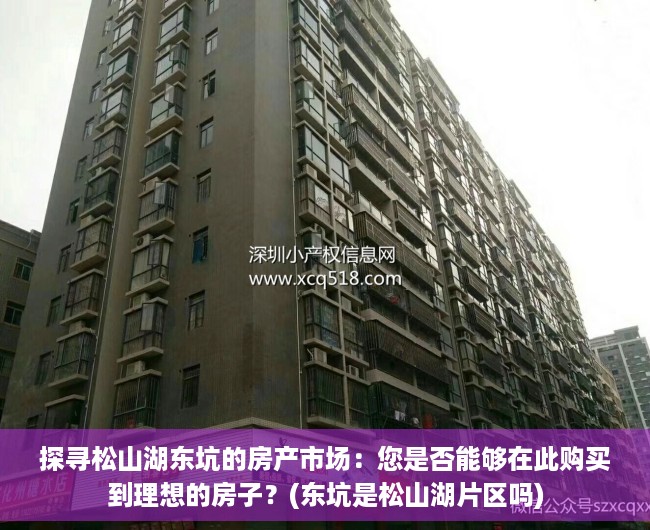 探寻松山湖东坑的房产市场：您是否能够在此购买到理想的房子？(东坑是松山湖片区吗)