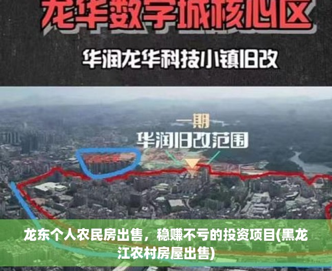 龙东个人农民房出售，稳赚不亏的投资项目(黑龙江农村房屋出售)