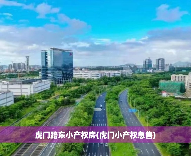 虎门路东小产权房(虎门小产权急售) 虎门路东小产权房(虎门小产权急售)