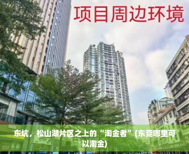 东坑，松山湖片区之上的“淘金者”(东莞哪里可以淘金)
