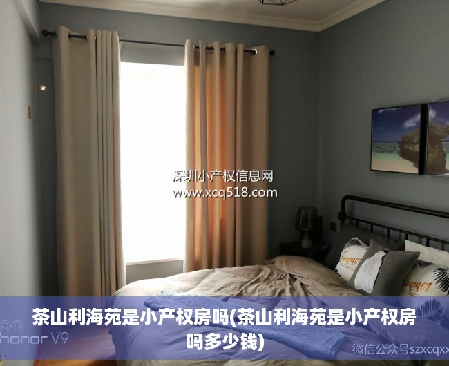 茶山利海苑是小产权房吗(茶山利海苑是小产权房吗多少钱) 茶山利海苑是小产权房吗(茶山利海苑是小产权房吗多少钱)