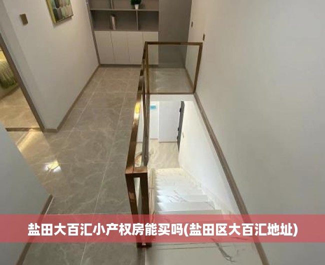 盐田大百汇小产权房能买吗(盐田区大百汇地址)