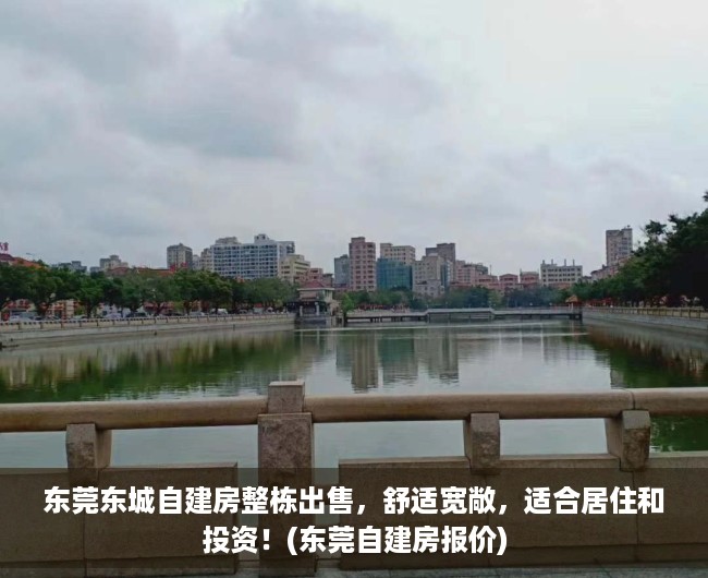 东莞东城自建房整栋出售，舒适宽敞，适合居住和投资！(东莞自建房报价)