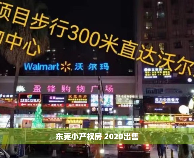 东莞小产权房 2020出售 东莞小产权房 2020出售