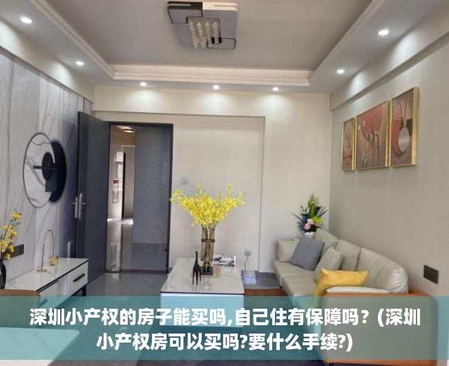 深圳小产权的房子能买吗,自己住有保障吗?(深圳小产权房可以买吗?要什么手续?) 深圳小产权的房子能买吗,自己住有保障吗?(深圳小产权房可以买吗?要什么手续?)