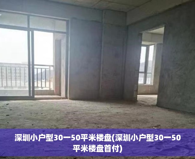 深圳小户型30一50平米楼盘(深圳小户型30一50平米楼盘首付) 深圳小户型30一50平米楼盘(深圳小户型30一50平米楼盘首付)