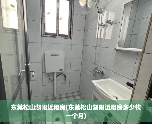 东莞松山湖附近租房(东莞松山湖附近租房多少钱一个月)