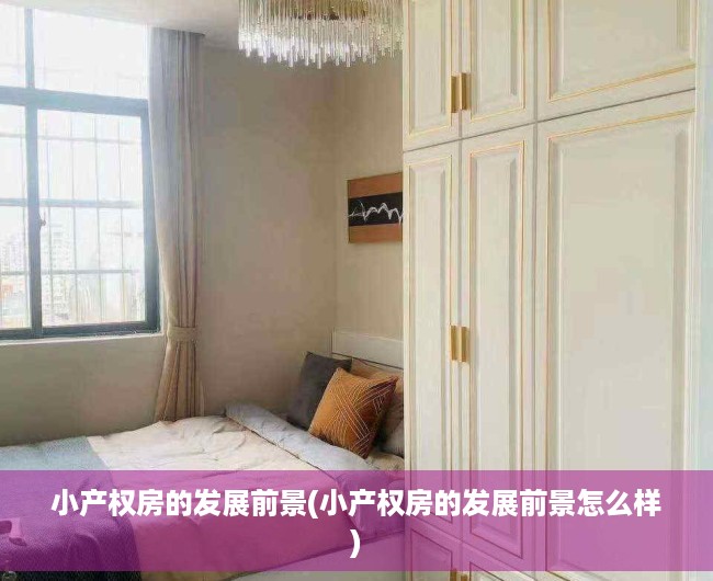 小产权房的发展前景(小产权房的发展前景怎么样)