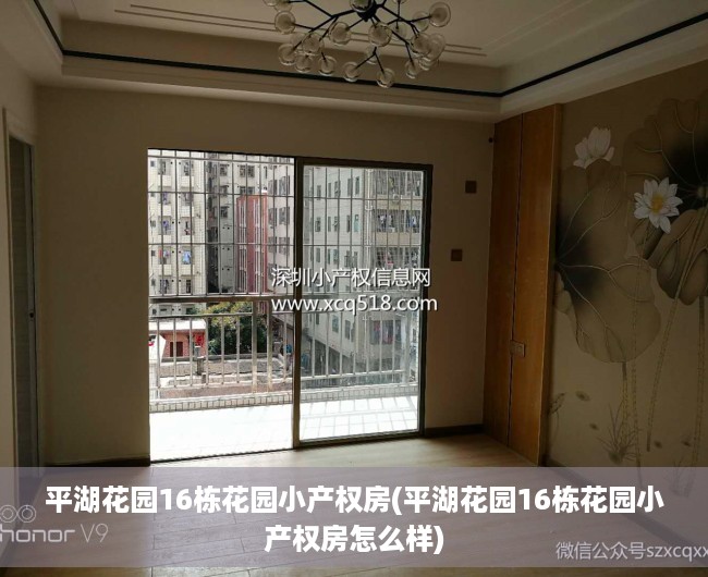 平湖花园16栋花园小产权房(平湖花园16栋花园小产权房怎么样) 平湖花园16栋花园小产权房(平湖花园16栋花园小产权房怎么样)