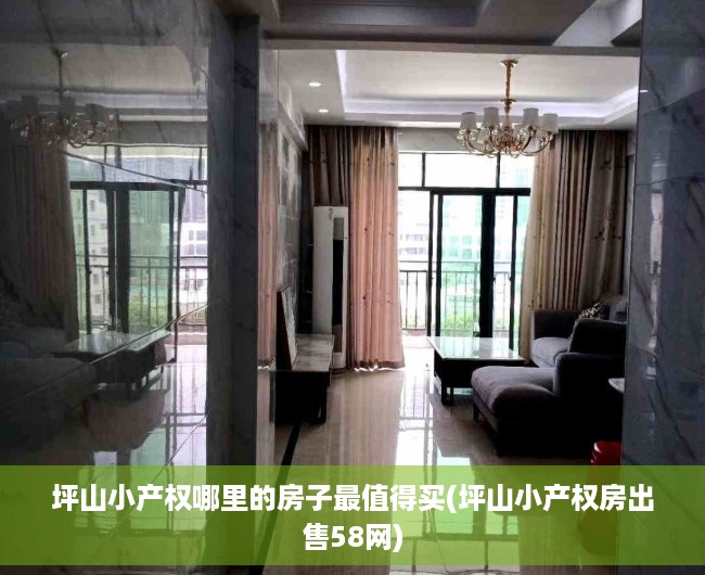坪山小产权哪里的房子最值得买(坪山小产权房出售58网)