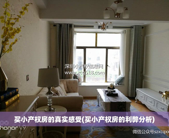 买小产权房的真实感受(买小产权房的利弊分析) 买小产权房的真实感受(买小产权房的利弊分析)