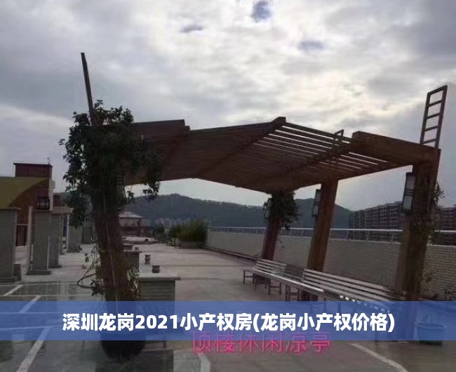 深圳龙岗2021小产权房(龙岗小产权价格)
