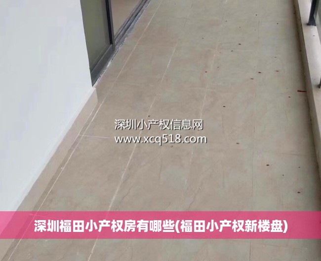 深圳福田小产权房有哪些(福田小产权新楼盘) 深圳福田小产权房有哪些(福田小产权新楼盘)