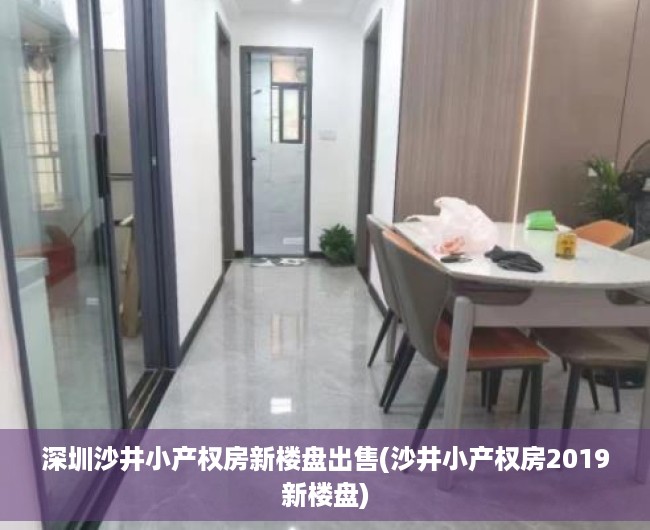 深圳沙井小产权房新楼盘出售(沙井小产权房2019新楼盘)
