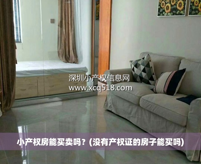 小产权房能买卖吗?(没有产权证的房子能买吗) 小产权房能买卖吗?(没有产权证的房子能买吗)