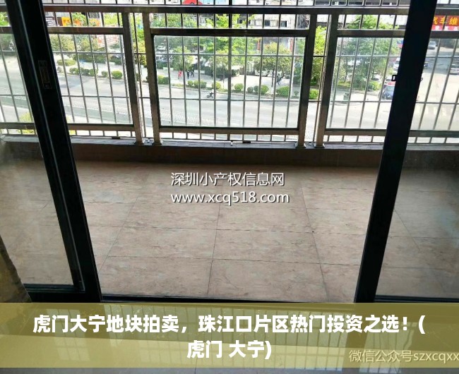 虎门大宁地块拍卖，珠江口片区热门投资之选！(虎门 大宁)