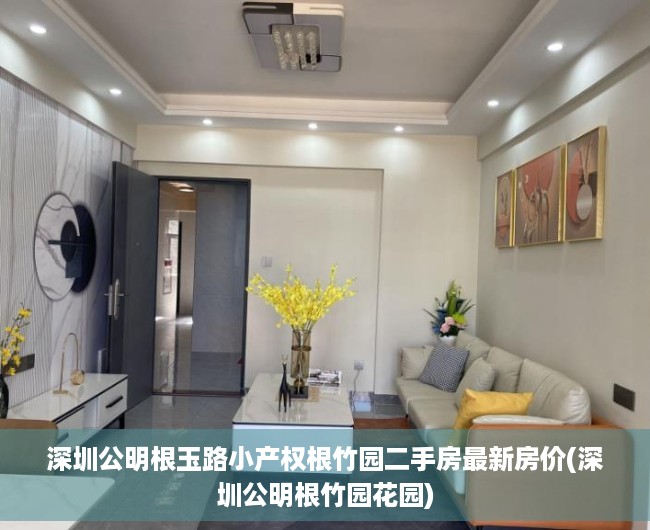 深圳公明根玉路小产权根竹园二手房最新房价(深圳公明根竹园花园)