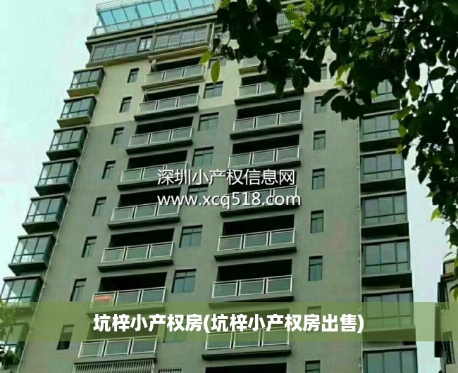 坑梓小产权房(坑梓小产权房出售) 坑梓小产权房(坑梓小产权房出售)